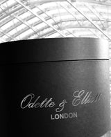 St Pancras - The Serpentine II